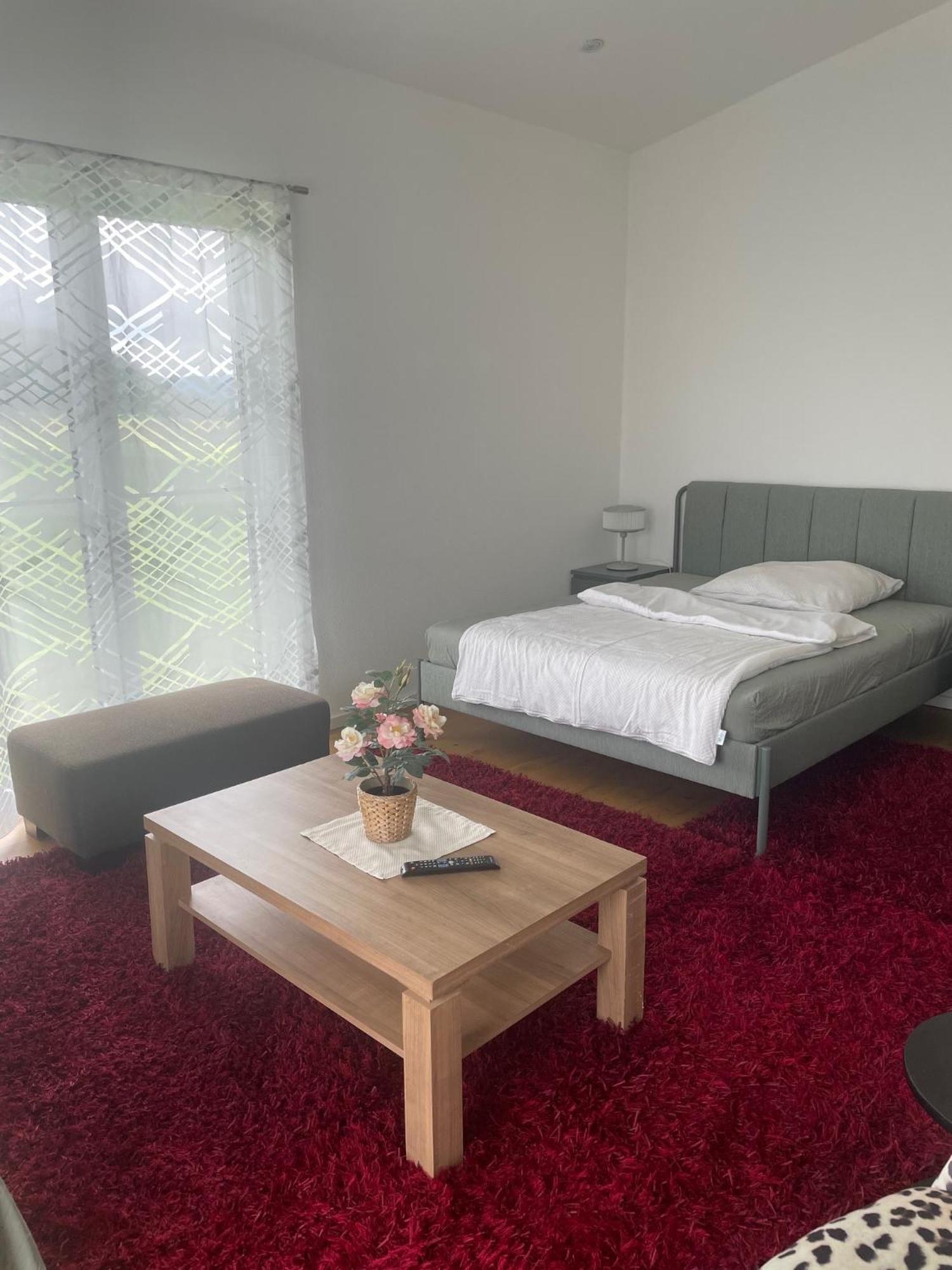 Ferienwohnung Feine Auszeit Gottmadingen Exterior foto